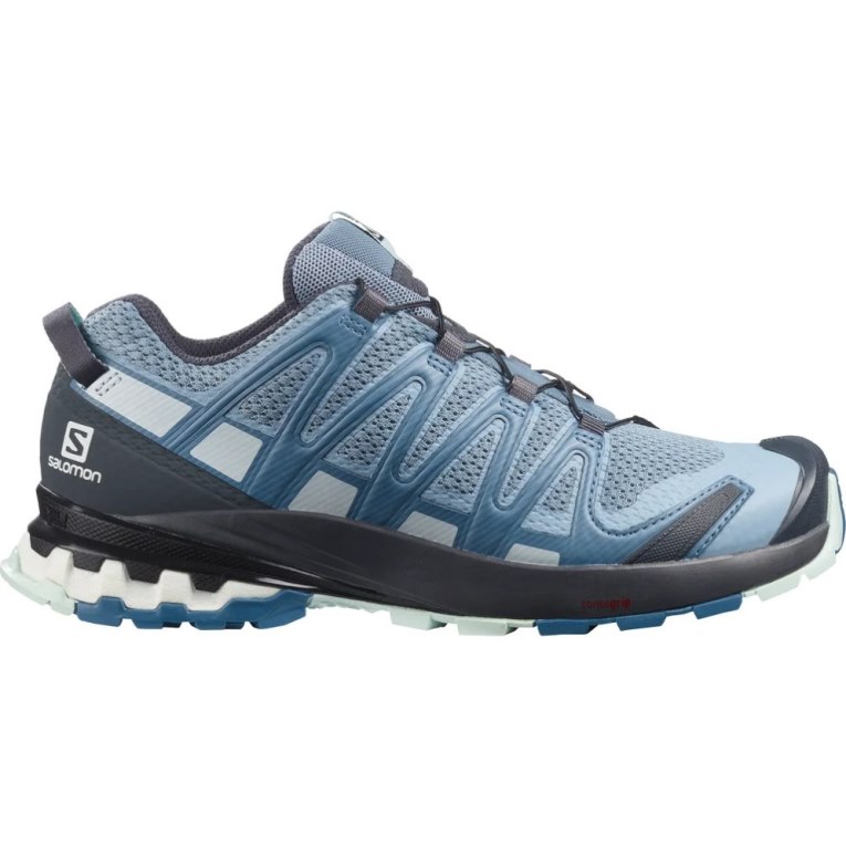 Sapatilhas Trail Running Salomon Xa Pro 3d V8 Feminino Azuis | PT V60518